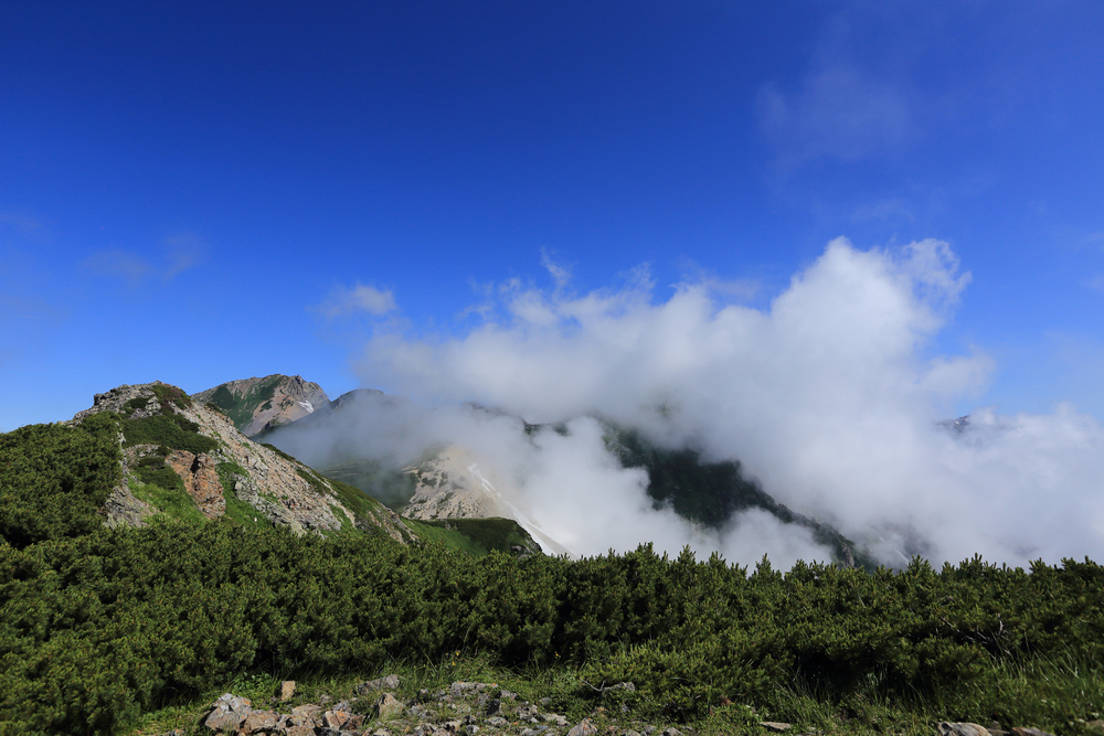 日本：後立山連峰之8～白馬山莊→杓子岳→白馬鑓ヶ岳