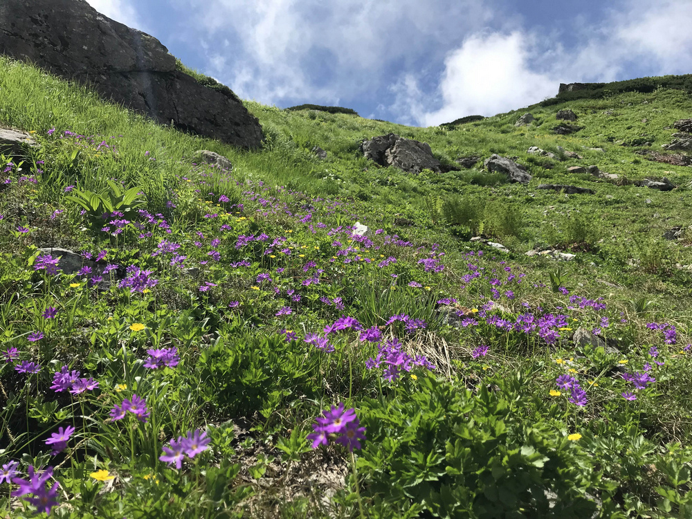日本:後立山連峰之9~白馬鑓ヶ岳→鑓溫泉→猿倉登山口 日本:後立山連峰之9~白馬鑓ヶ岳→鑓溫泉→猿倉登山口