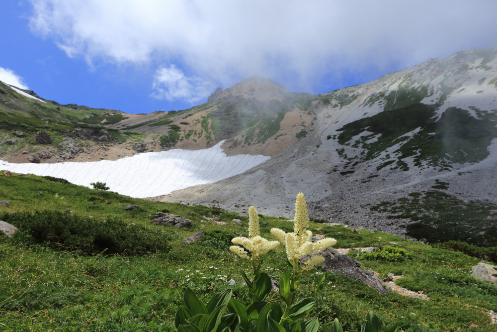 日本:後立山連峰之9~白馬鑓ヶ岳→鑓溫泉→猿倉登山口 日本:後立山連峰之9~白馬鑓ヶ岳→鑓溫泉→猿倉登山口