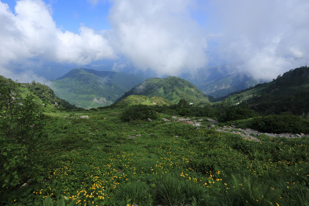 日本:後立山連峰之9~白馬鑓ヶ岳→鑓溫泉→猿倉登山口 日本:後立山連峰之9~白馬鑓ヶ岳→鑓溫泉→猿倉登山口