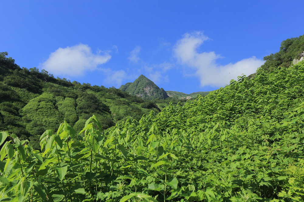 日本:後立山連峰之9~白馬鑓ヶ岳→鑓溫泉→猿倉登山口 日本:後立山連峰之9~白馬鑓ヶ岳→鑓溫泉→猿倉登山口
