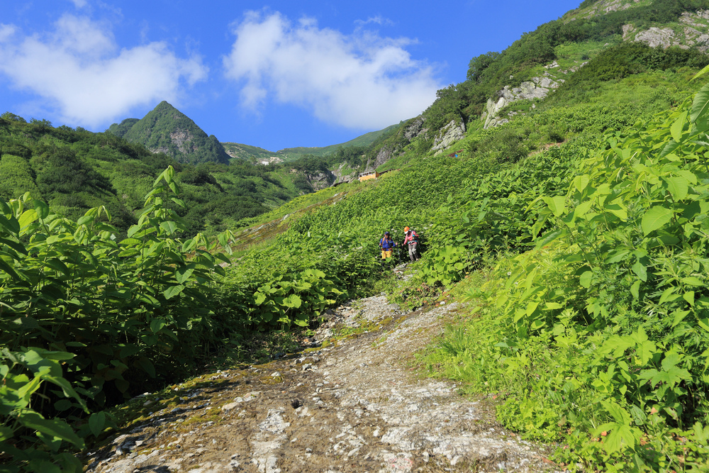 日本:後立山連峰之9~白馬鑓ヶ岳→鑓溫泉→猿倉登山口 日本:後立山連峰之9~白馬鑓ヶ岳→鑓溫泉→猿倉登山口