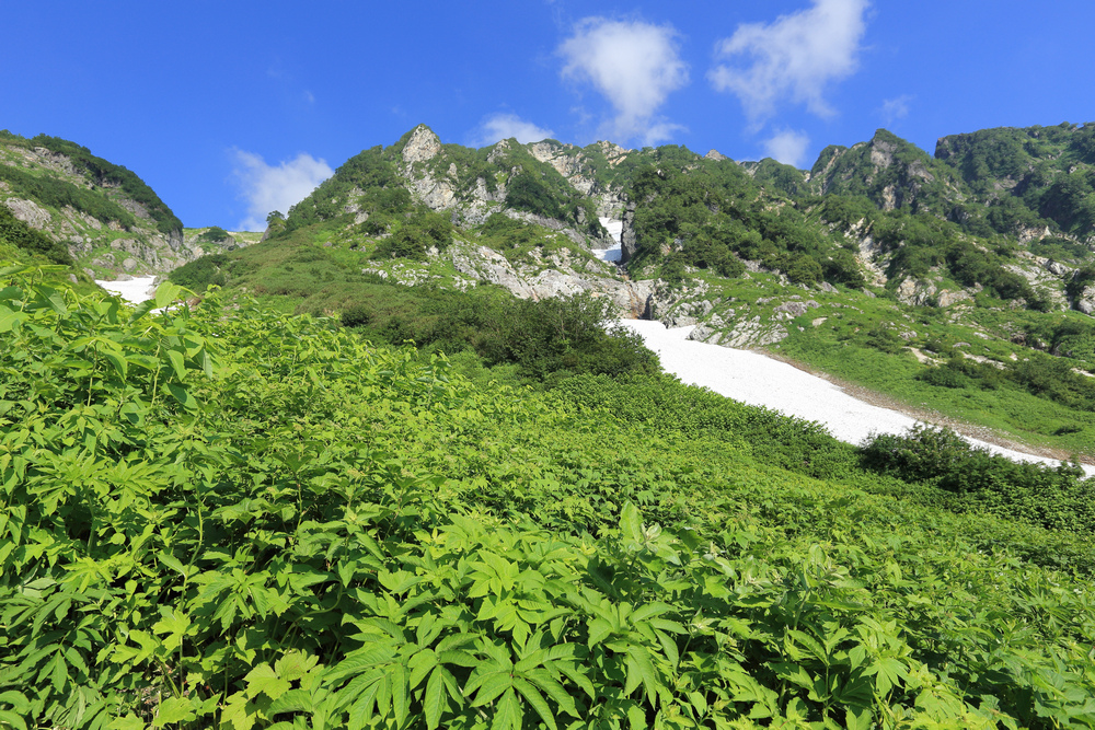 日本:後立山連峰之9~白馬鑓ヶ岳→鑓溫泉→猿倉登山口 日本:後立山連峰之9~白馬鑓ヶ岳→鑓溫泉→猿倉登山口