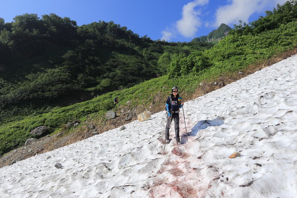 日本:後立山連峰之9~白馬鑓ヶ岳→鑓溫泉→猿倉登山口