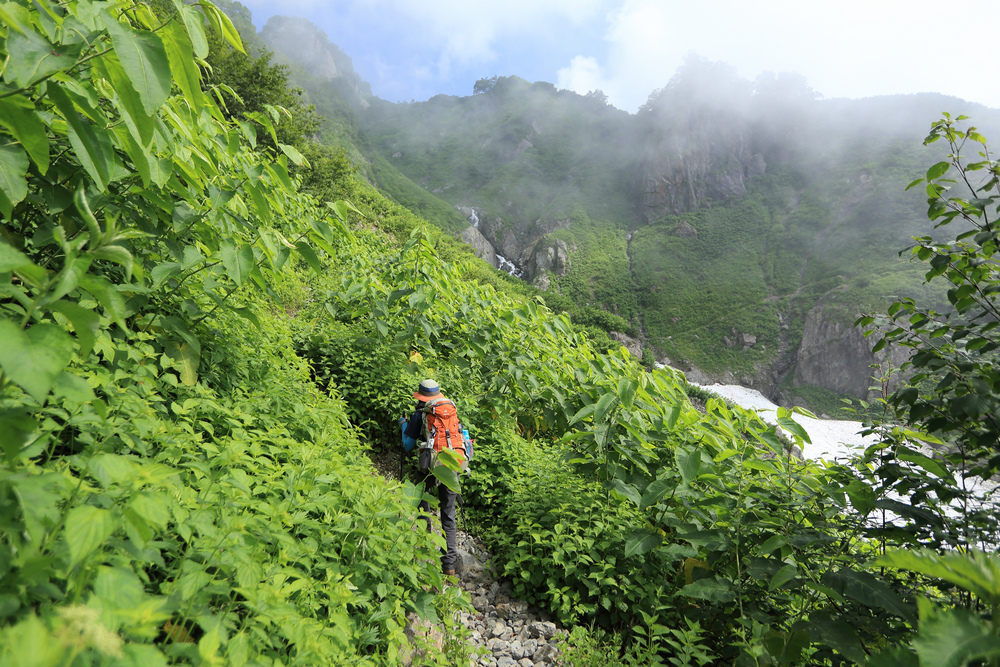 日本:後立山連峰之9~白馬鑓ヶ岳→鑓溫泉→猿倉登山口