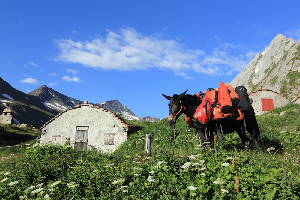 TMB環白朗峰健行之4：Rifugio Elisabetta