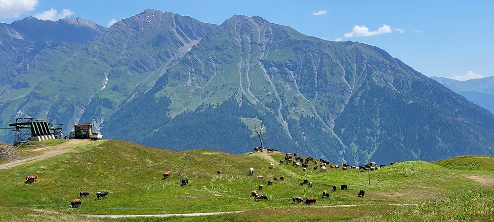 TMB環白朗峰健行之4：Rifugio Elisabetta
