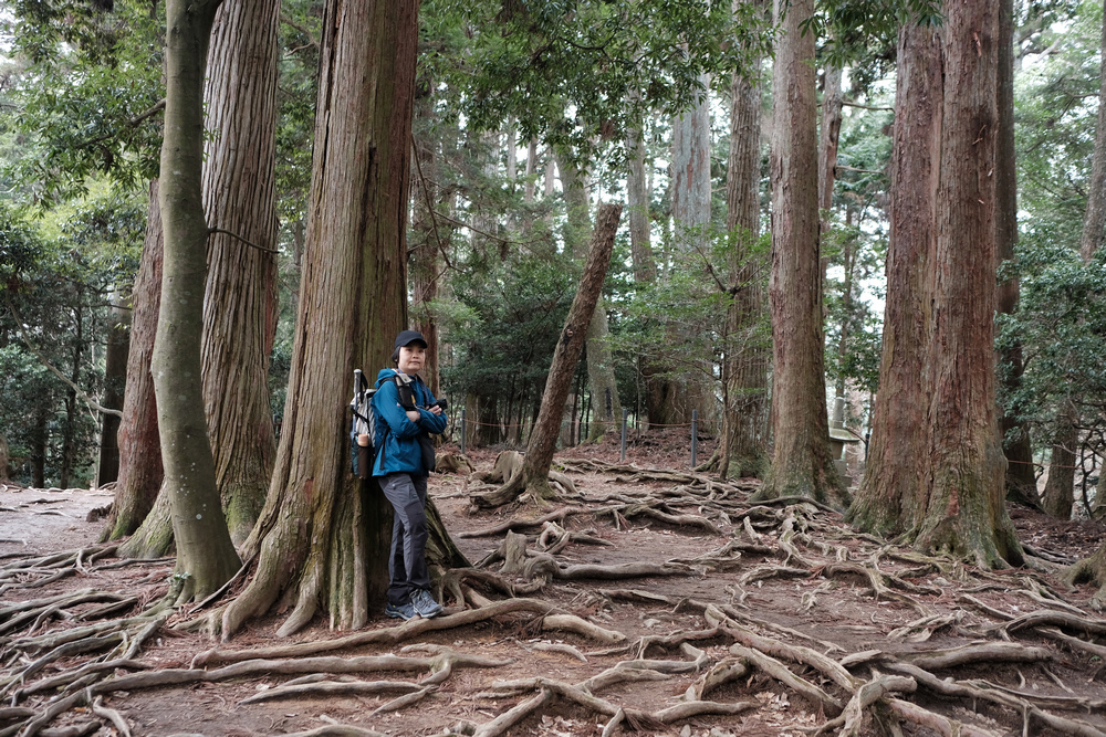 日本旅行--京都印象 日本旅行--京都印象