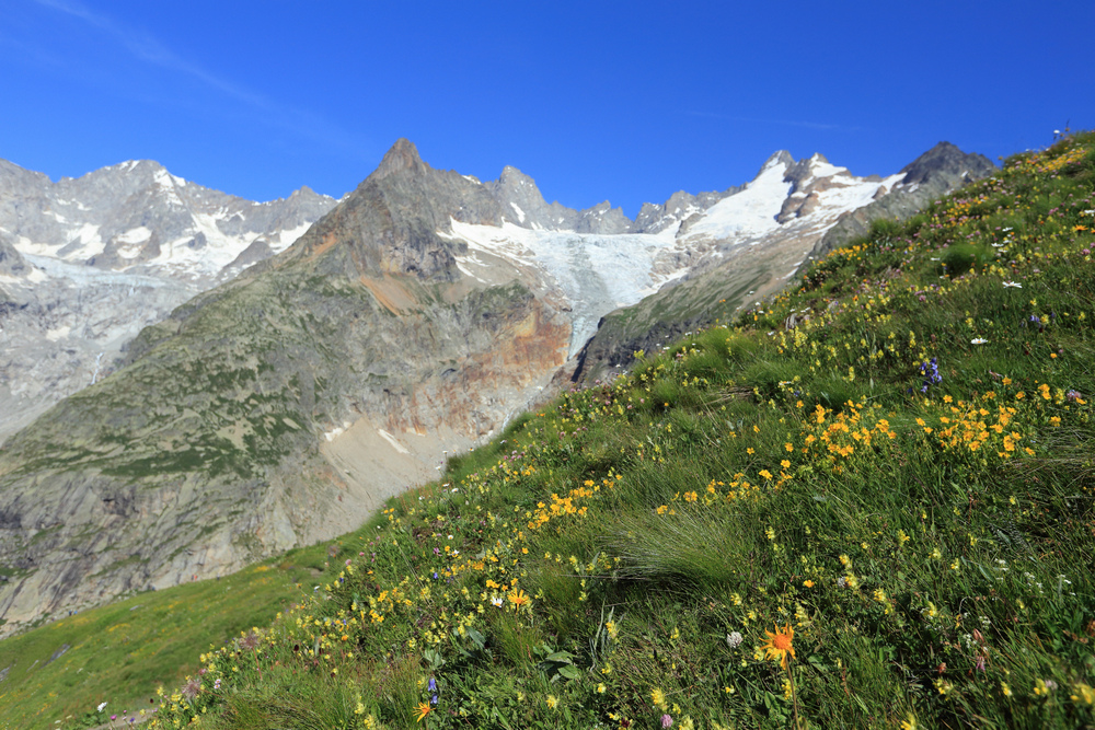 TMB環白朗峰健行之6:Chalet Val Ferret(