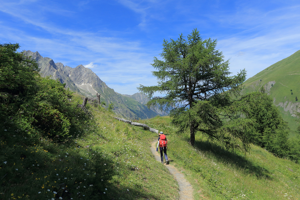 TMB環白朗峰健行之6:Chalet Val Ferret( TMB環白朗峰健行之6:Chalet Val Ferret(
