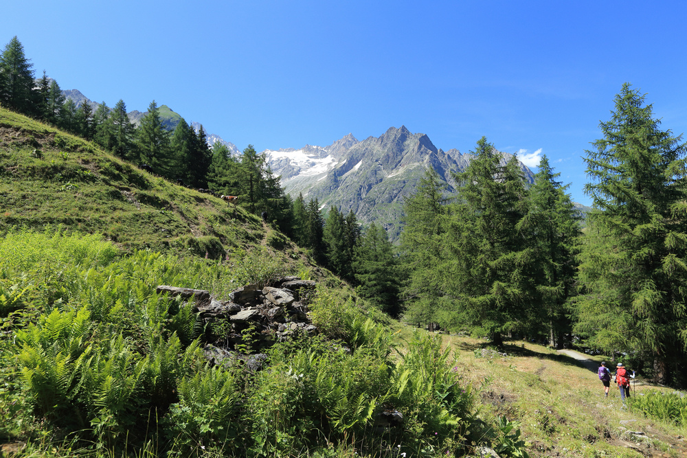 TMB環白朗峰健行之6:Chalet Val Ferret( TMB環白朗峰健行之6:Chalet Val Ferret(