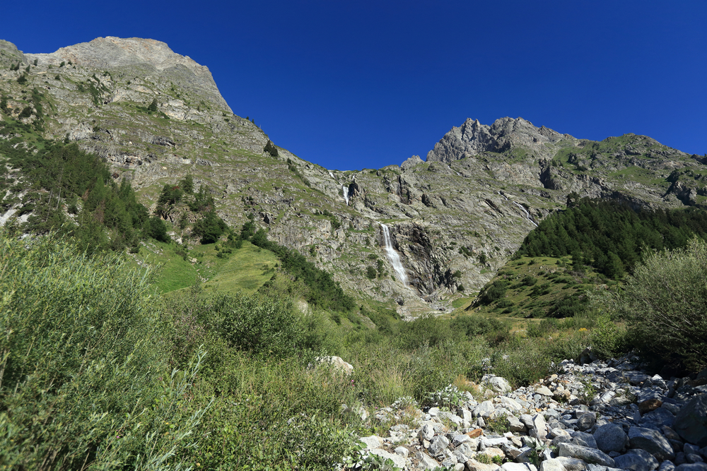 img 0846