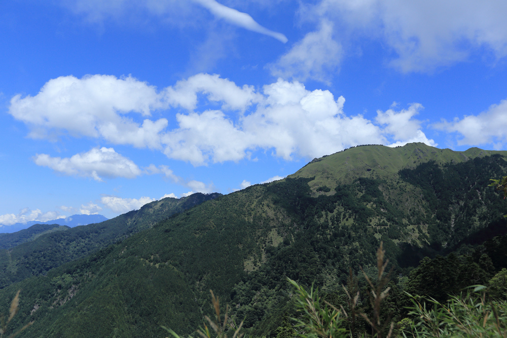 IMG_7065.jpg