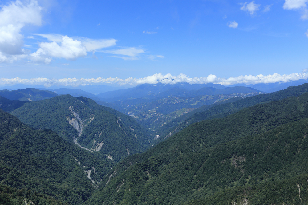 IMG_7067.jpg