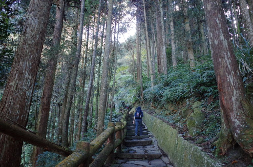 R0041765.jpg