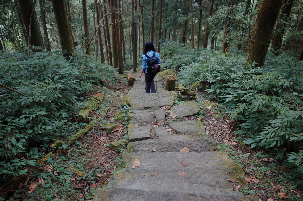 R0041868.jpg