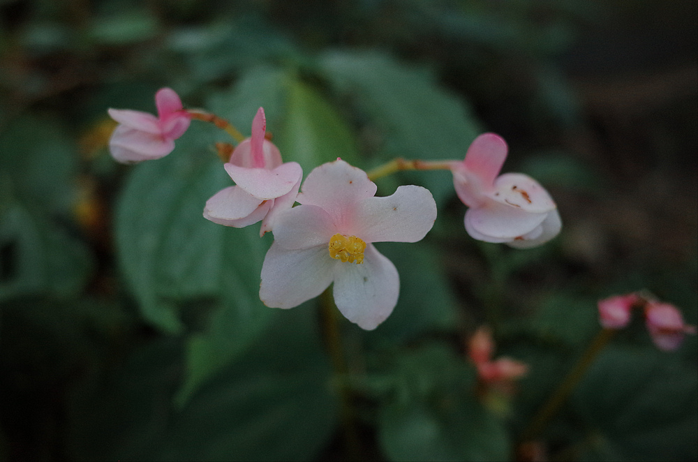 R0041939.jpg