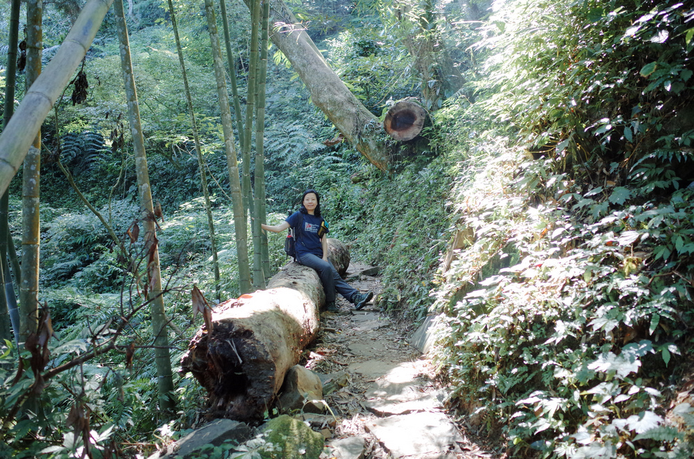 R0041935.jpg