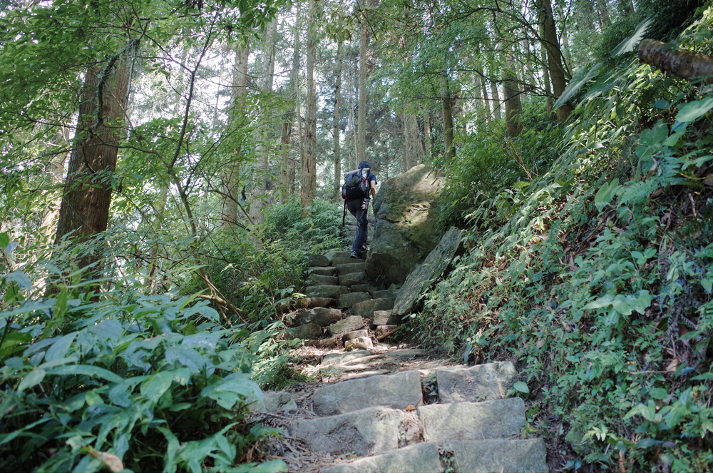 R0041945.jpg