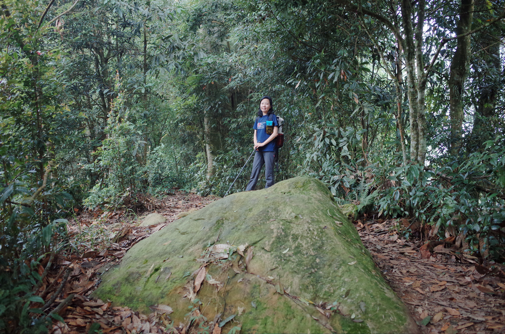 R0041991.jpg