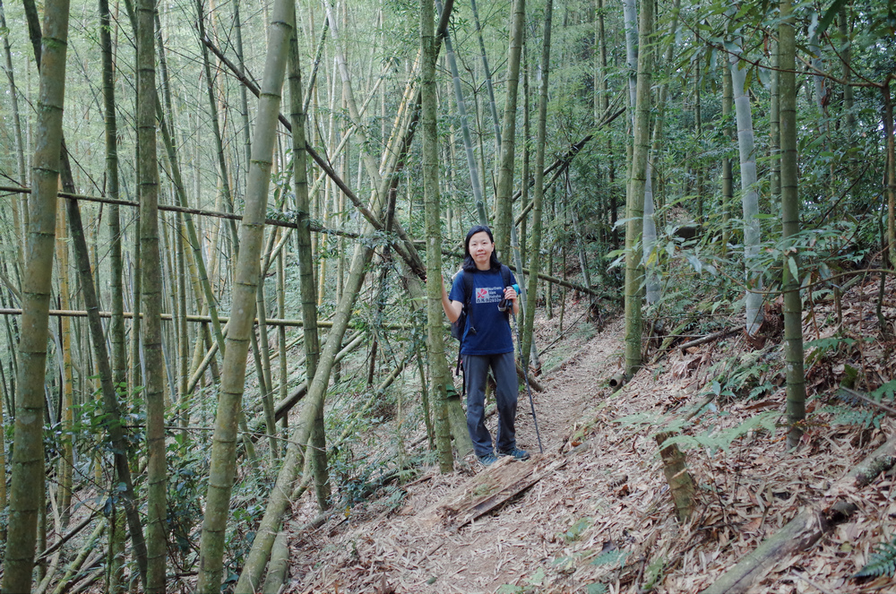 R0041983.jpg