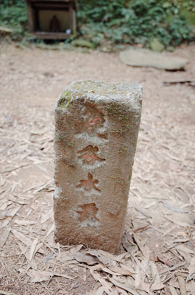 R0042034.jpg