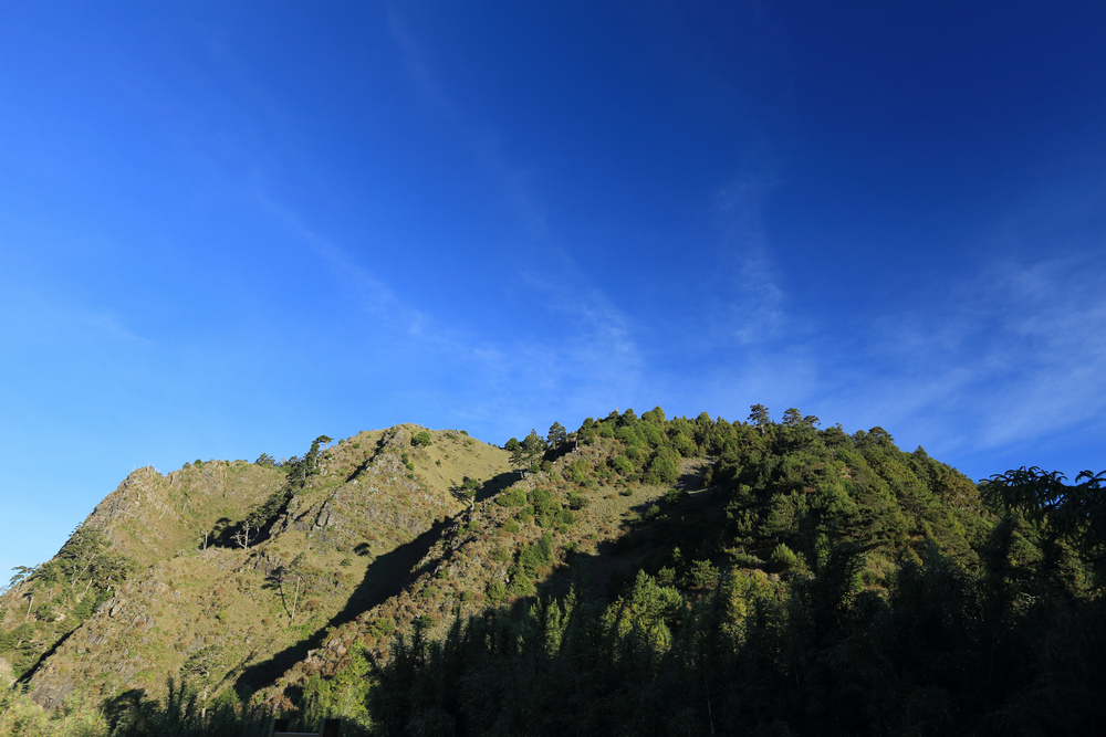 IMG_8464.jpg