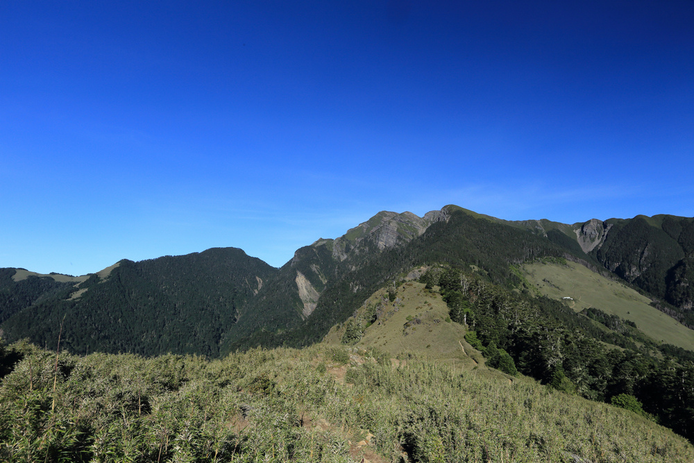 IMG_8501.jpg