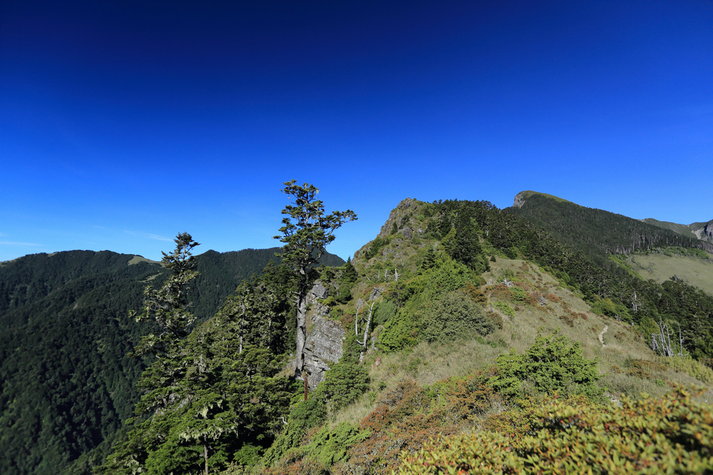 IMG_8514.jpg