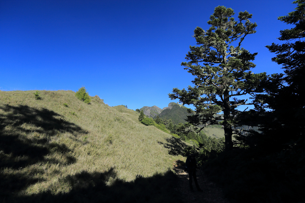 IMG_8511.jpg