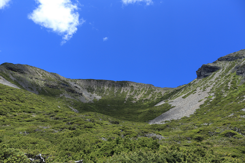 IMG_8595.jpg