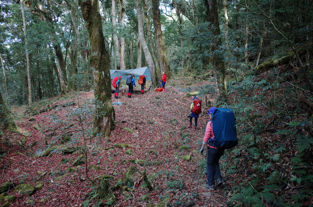 R0042613.jpg