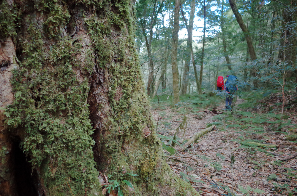 R0042622.jpg