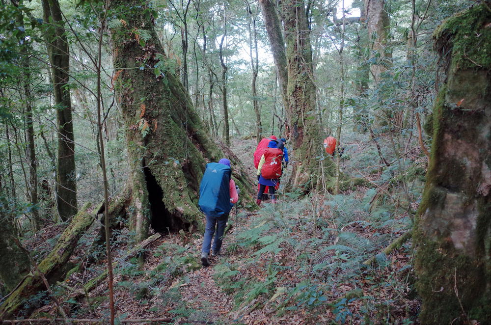 R0042625.jpg