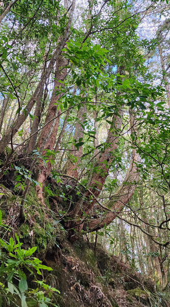 R0042666-1.jpg