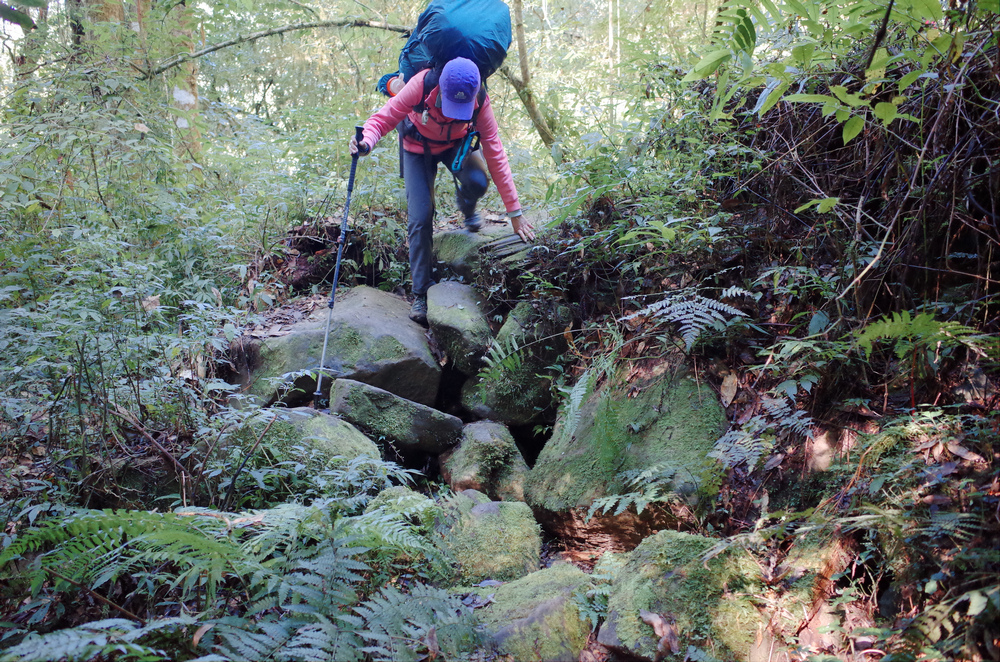 R0042695.jpg