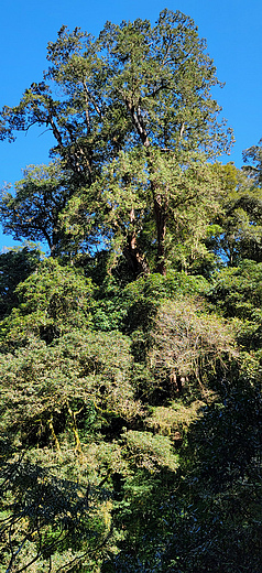 R0042695-1.jpg