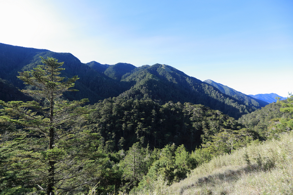 IMG_8714.jpg