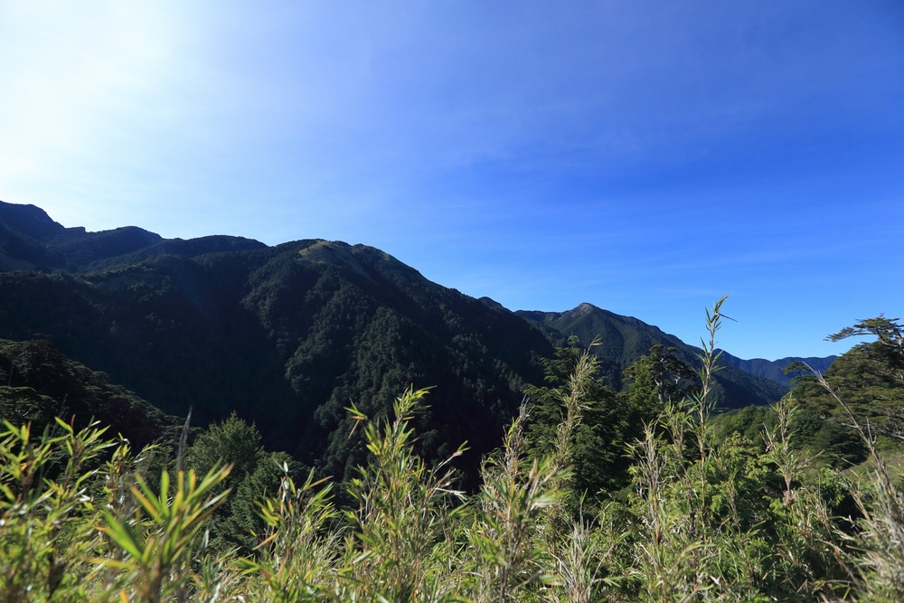 IMG_8731.jpg