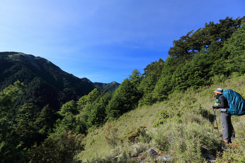 IMG_8732.jpg