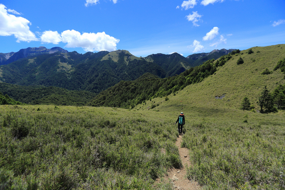 IMG_8787.jpg IMG_8787.jpg