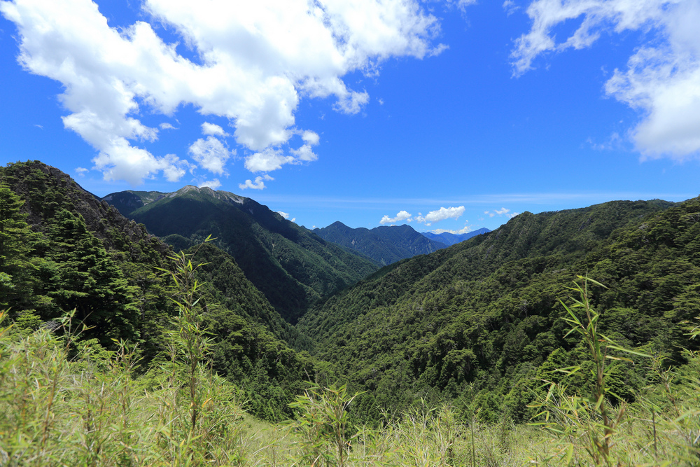IMG_8803.jpg