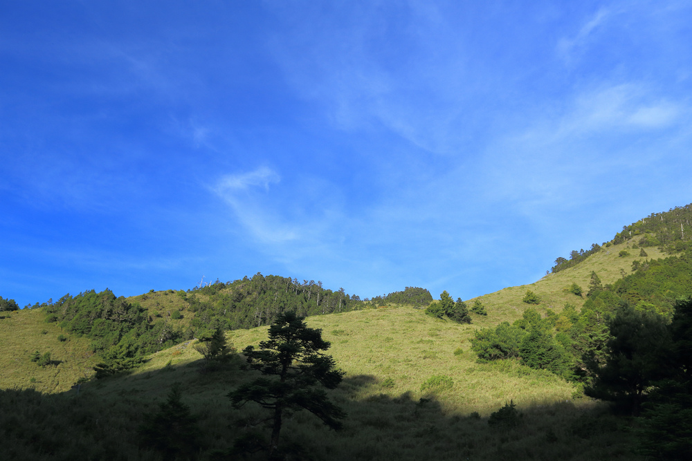 IMG_8828.jpg