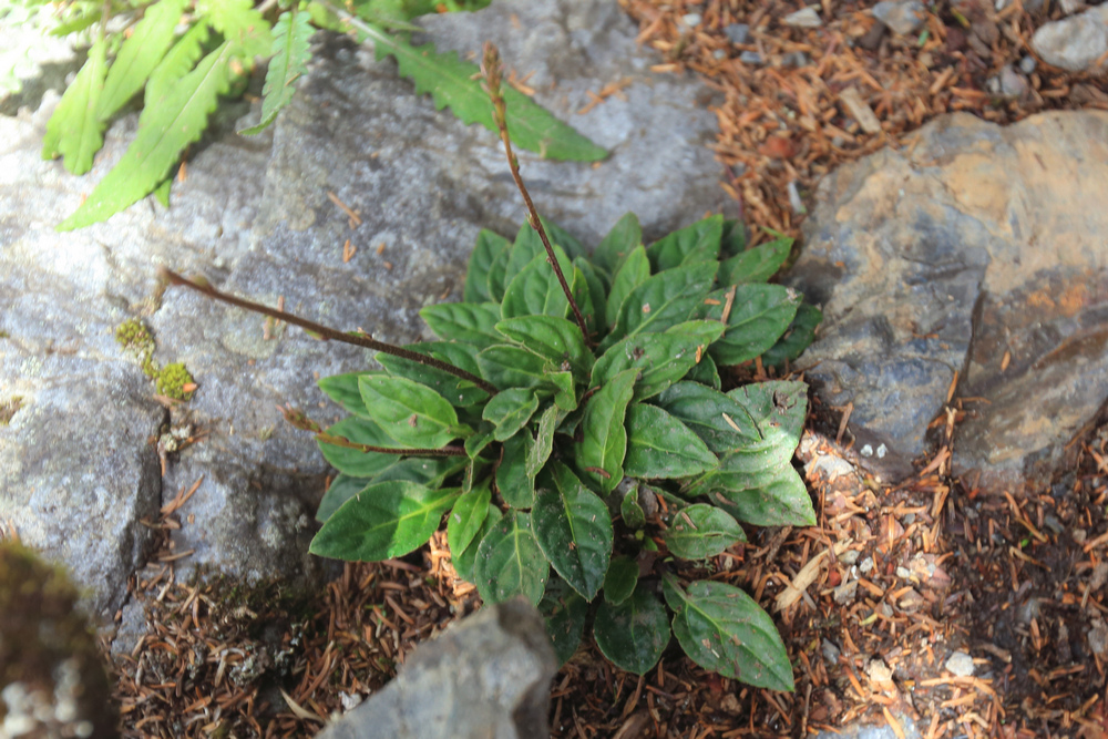IMG_8892.jpg