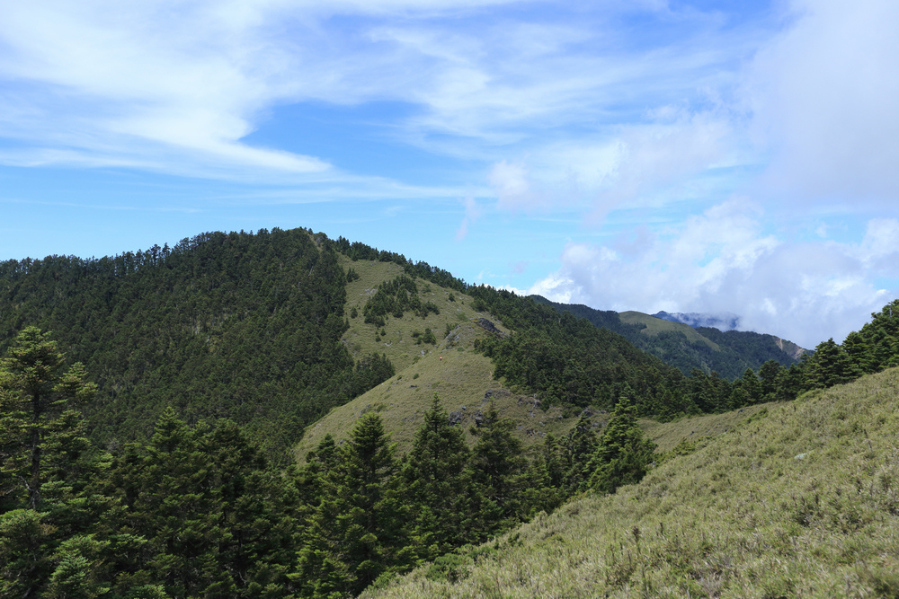 IMG_8900.jpg