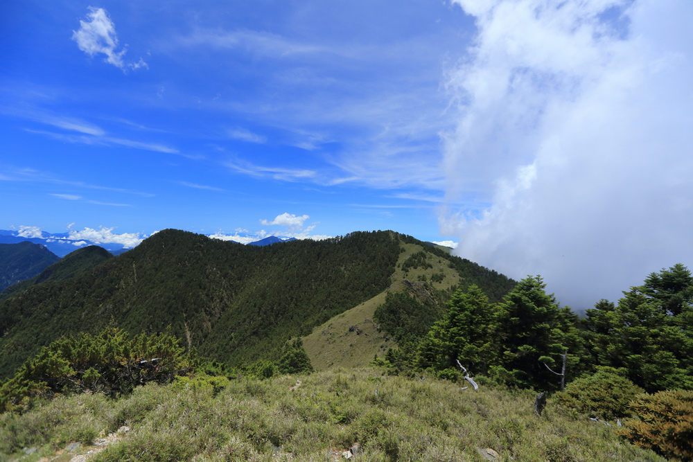 IMG_8915.jpg