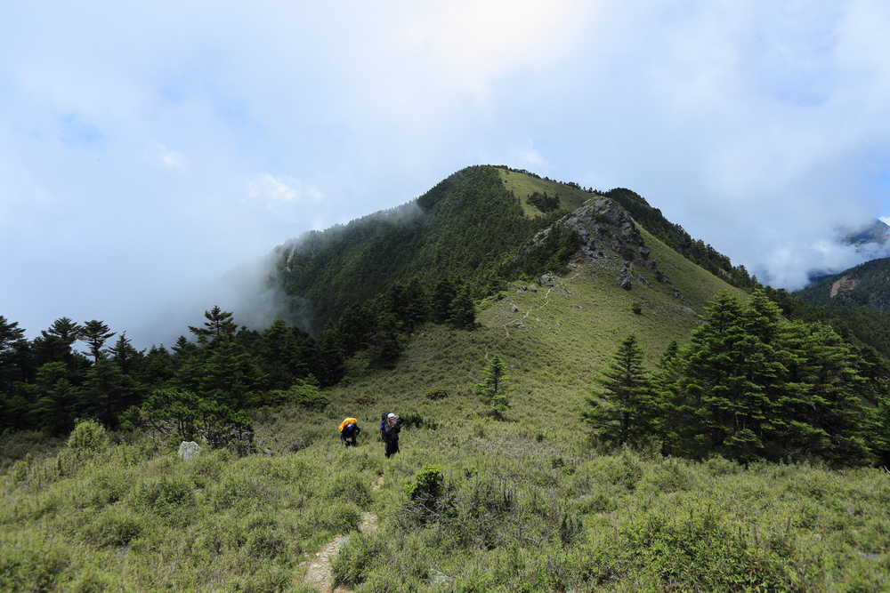 IMG_8936.jpg