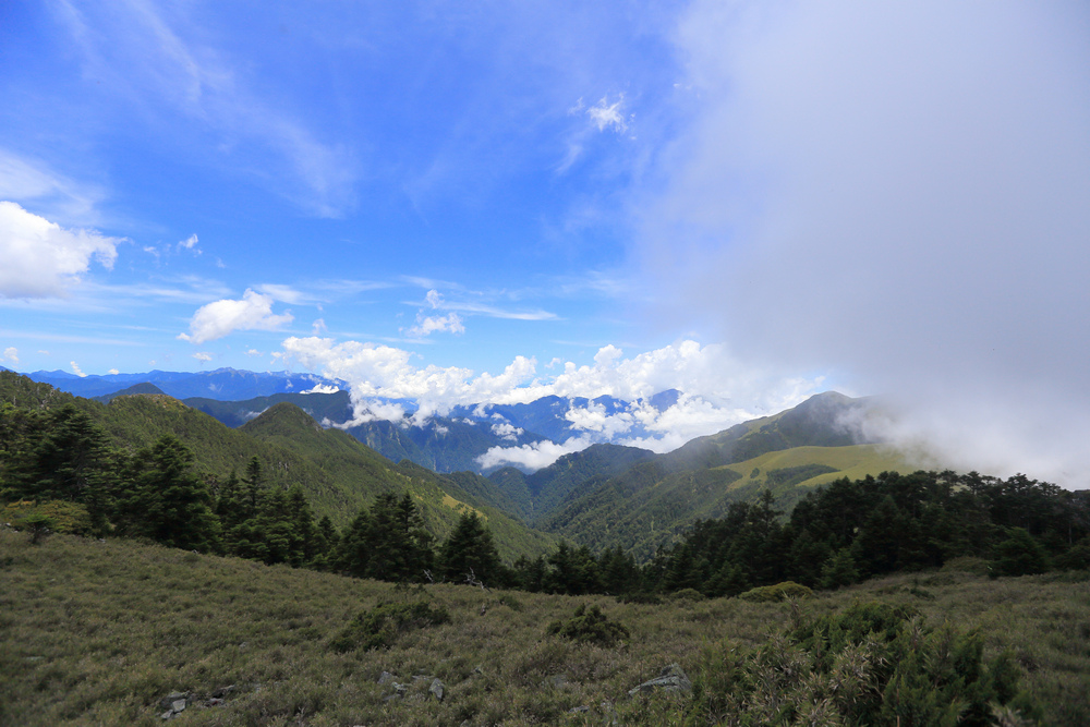 IMG_8943.jpg