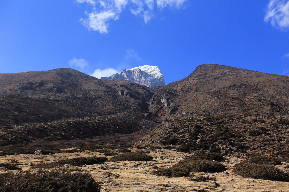IMG_6389.jpg