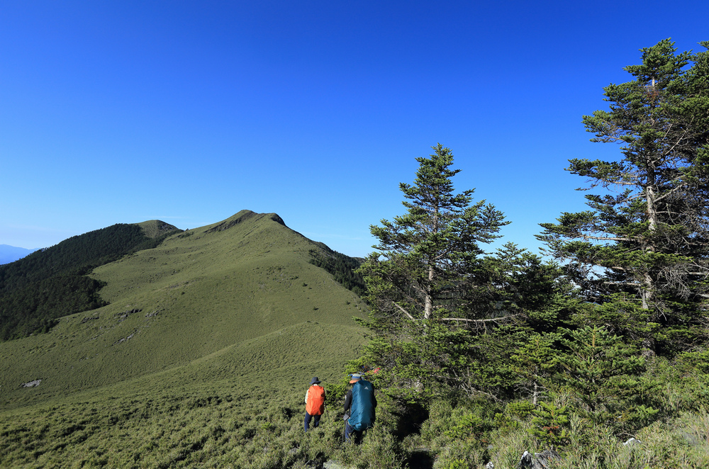 雪山西稜 D5～大雪山、匹匹達山與28.5k營地